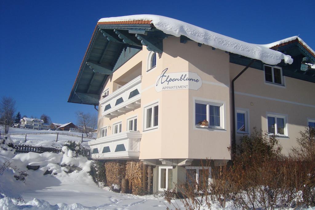 Appartement Alpenblume Schladming Exterior photo