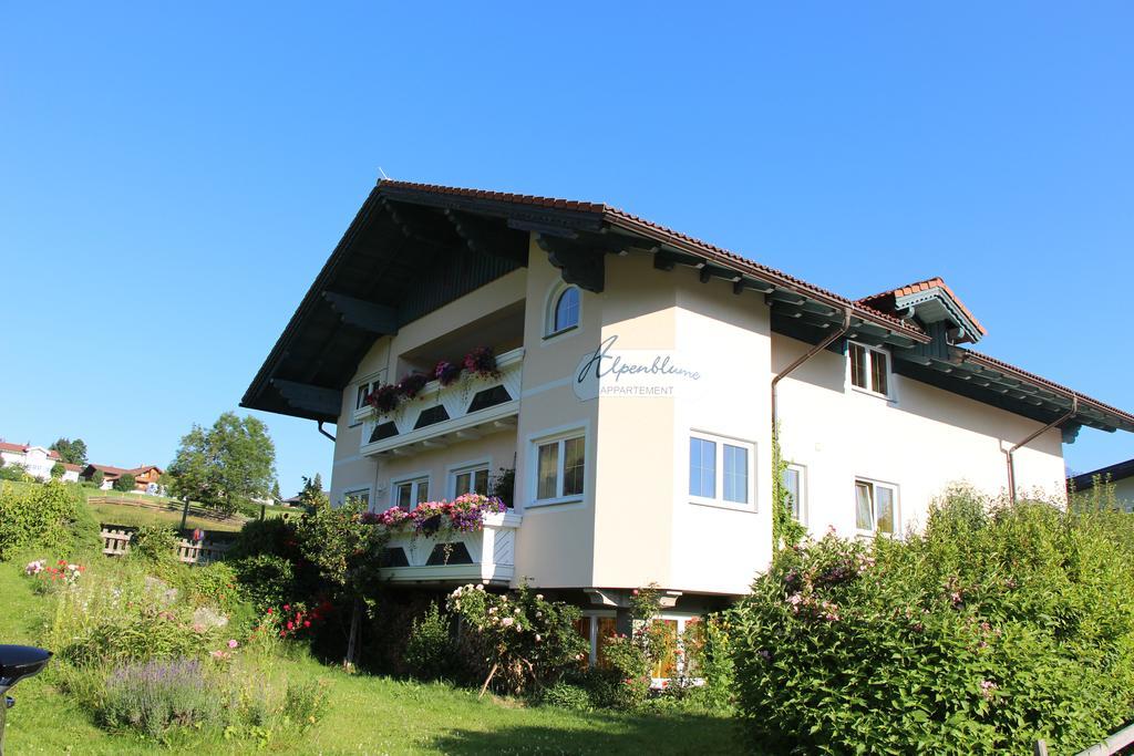 Appartement Alpenblume Schladming Exterior photo